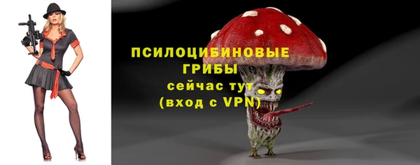 СК Алзамай